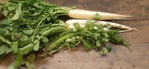 Grated radish salad