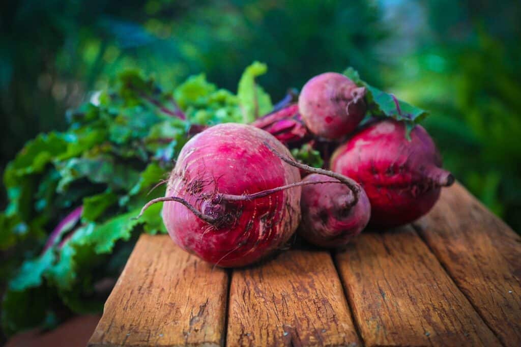 beetroot, food, diet-687251.jpg