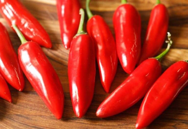 Fresh Red chilli